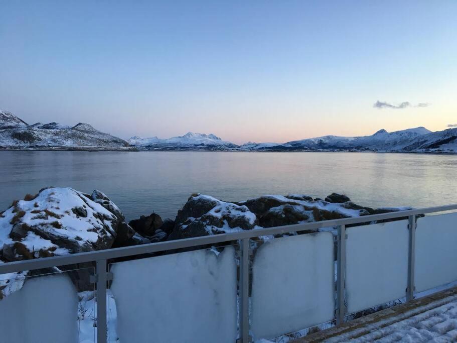 Hytte Ved Sjoen Napp Dış mekan fotoğraf